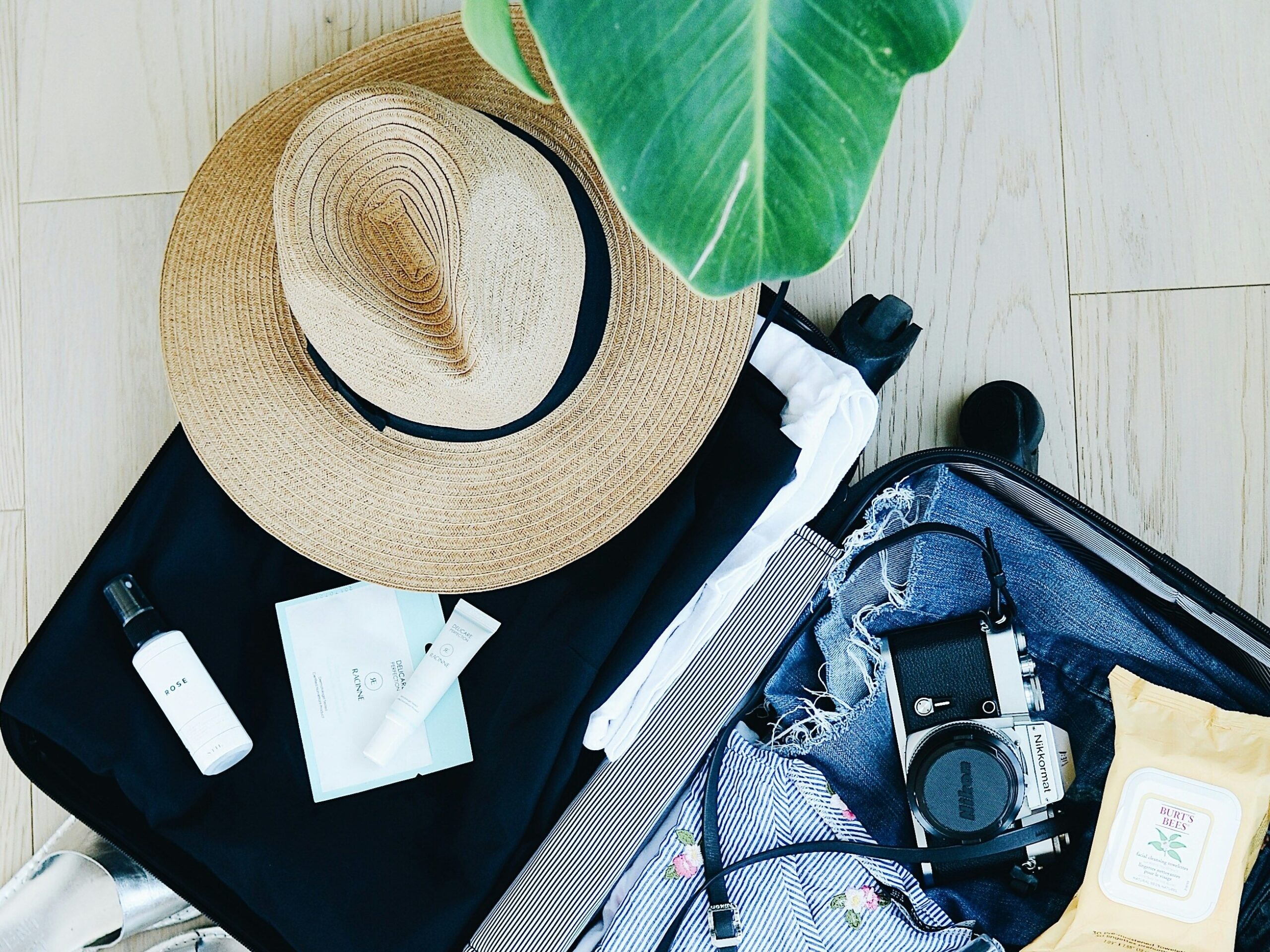 Travel