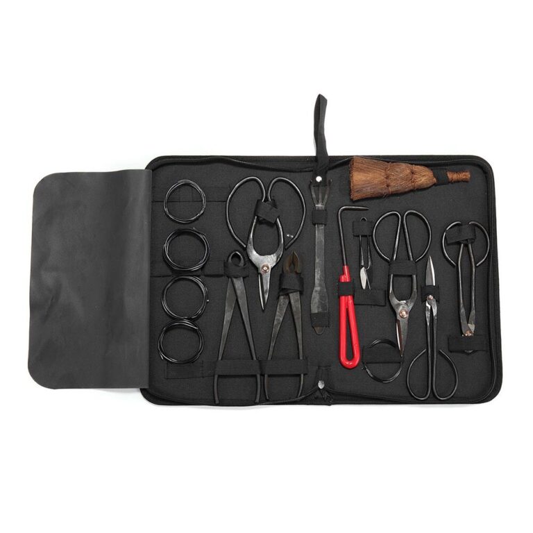 Bonsai Tool Set Review