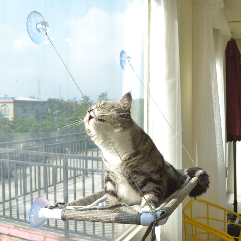 PetFusion Cat Window Perch Review