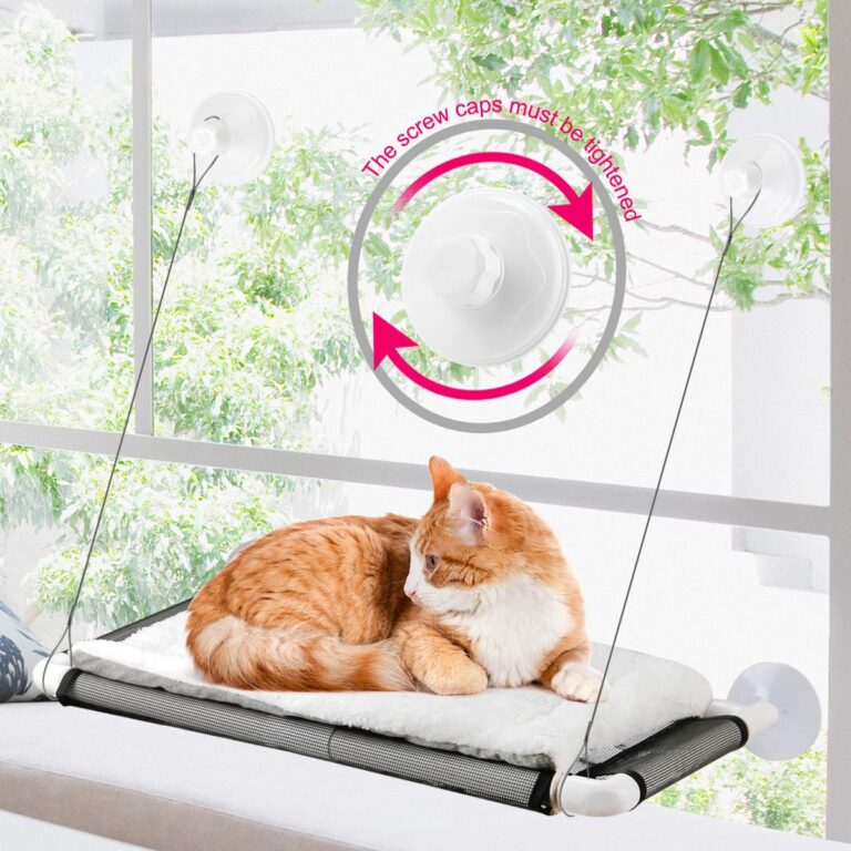 Cat Window Perch Review