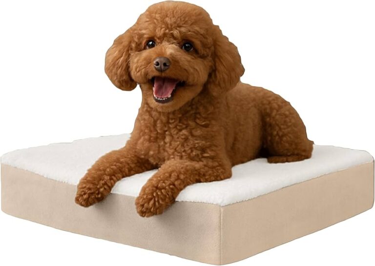 Petmaker Waterproof Dog Bed Review