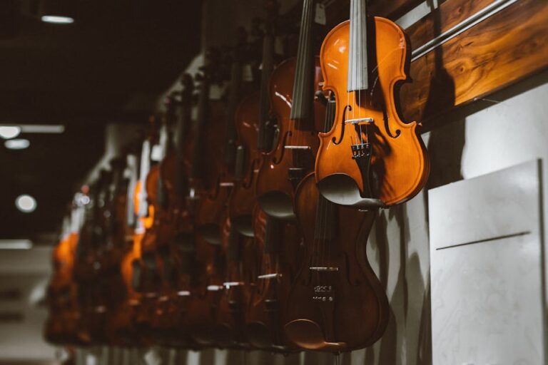Violin Shoulder Rest Review