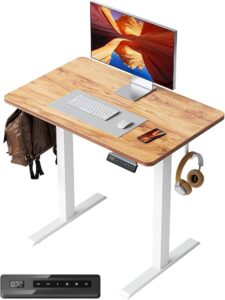 FEZIBO Electric Standing Desk Review