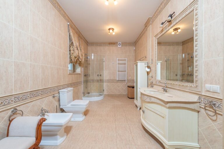 Electric Bidet Toilet Seat Review