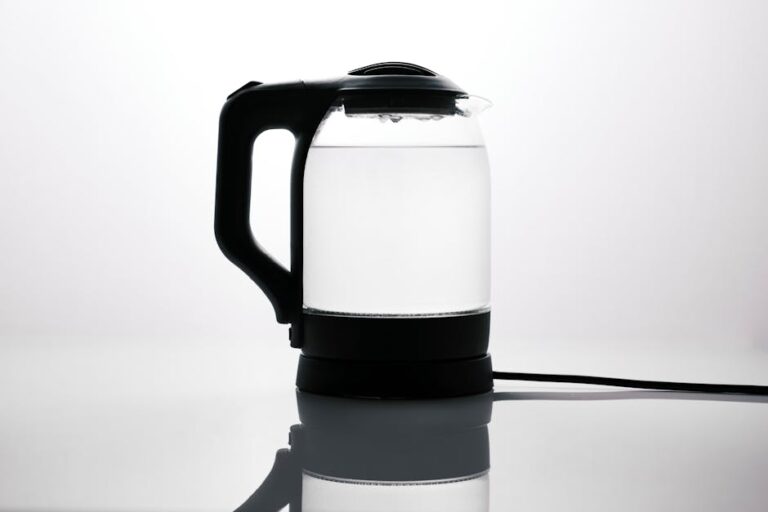 Electric Gooseneck Kettle Review