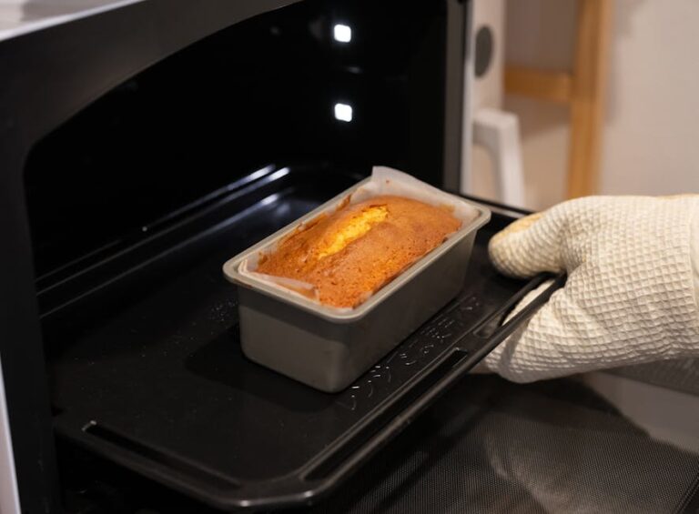 10L Electric Mini Oven Review