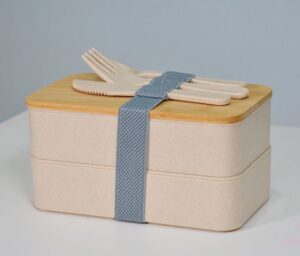 Electric Lunch Box 2L Review
