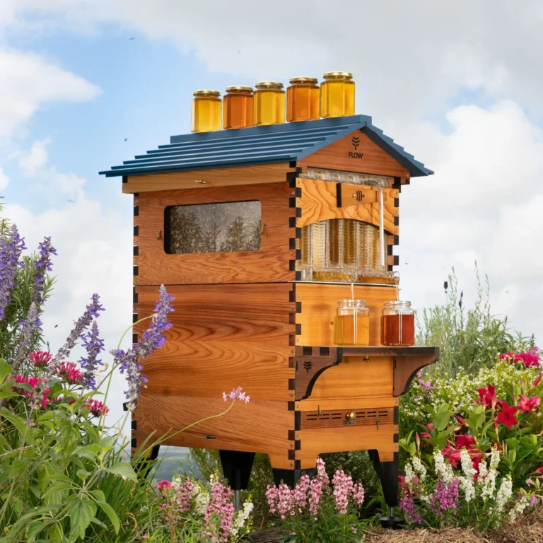 Flow Hive Hybrid 2 Beehive Kit Review