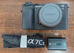 Sony HX80 camera Review