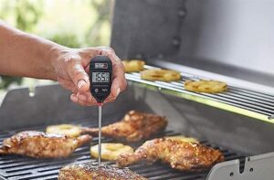 Digital Meat Thermometer Review