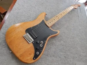 Vintage Fender Guitar Case Review