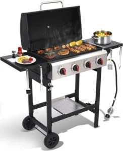 Portable Gas Grill Review